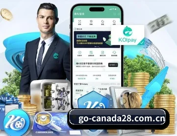 加拿大28 APP 深度功能 - jnd28